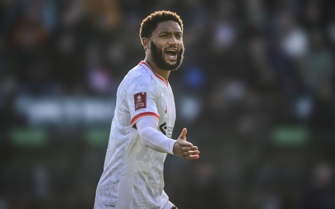 下训练营合 下训练营合