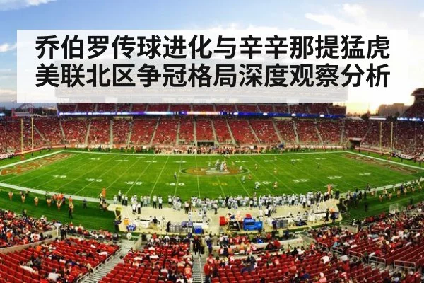 nfl football stadium game